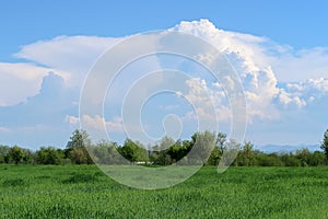 Po Valley landscape field cultivation nature natural agriculture farmhouse tree earth