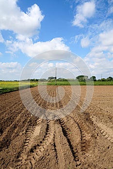 Po Valley landscape field cultivation nature natural agriculture farmhouse tree earth