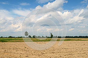 Po Valley landscape field cultivation nature natural agriculture farmhouse tree earth