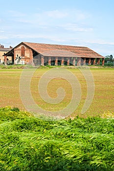 Po Valley landscape field cultivation nature natural agriculture farmhouse tree earth