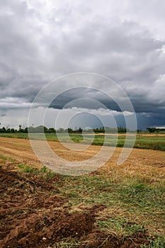 Po Valley landscape field cultivation nature natural agriculture farmhouse tree earth