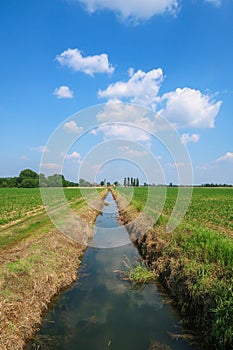 Po Valley landscape field cultivation nature natural agriculture farmhouse tree earth