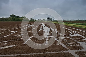 Po Valley landscape panorama view fields crops