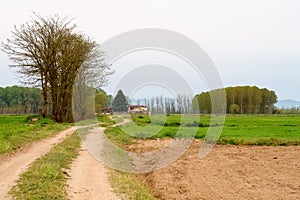 Po valley Pianura Padana panorama landscape fields meadow cultivation agriculture nature agricultural work farmhouse farm natural