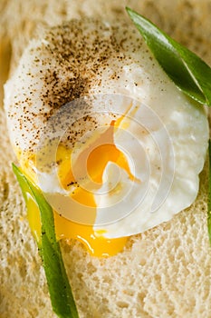 Poached Egg