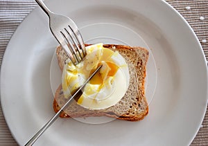 Poached Egg