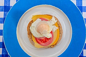 Poached egg on brown bread