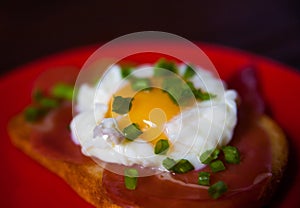 Poached egg. Tasty breakfast. Healthy food concept.