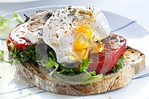 Poached Egg on Toast