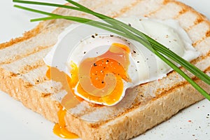 Poached Egg On Toast With Chives And Spices. White Plate