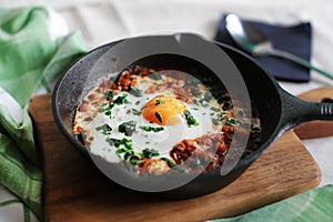 Poached egg in tomato sauce, paprika and spices, arabic shakshouka
