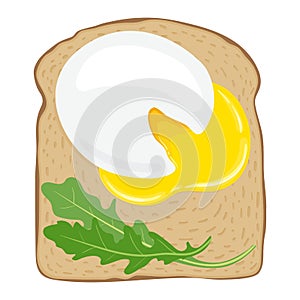Poached eggs on toast bread. Delicious poached egg sandwich with toast bread. Vector illustration.