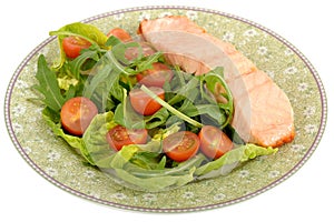 Poached Salmon Fillet with Salad