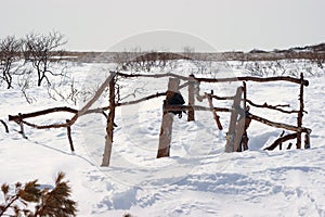 Poacher's hut, north coast Sea of Okhotsk, Kolyma, Far East