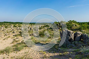 Pobiti Kamani planted stones. Varna Province of Bulgaria.