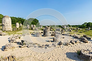 Pobiti Kamani planted stones. Varna Province of Bulgaria.