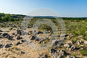 Pobiti Kamani planted stones. Varna Province of Bulgaria.