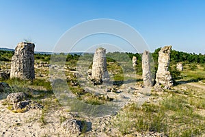 Pobiti Kamani planted stones. Varna Province of Bulgaria.
