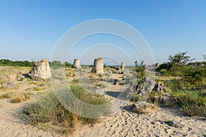 Pobiti Kamani planted stones. Varna Province of Bulgaria.