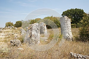 Pobiti Kamani The Stone Desert, a desert-like rock phenomenon