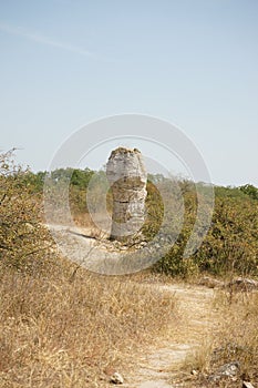 Pobiti Kamani The Stone Desert, a desert-like rock phenomenon