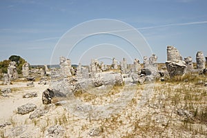 Pobiti Kamani The Stone Desert, a desert-like rock phenomenon located in Bulgaria