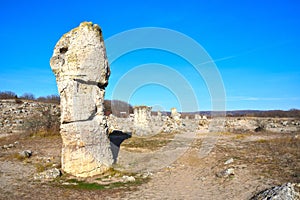 Pobiti Kamani, The Stone Forest Natural Reserve in Bulgaria