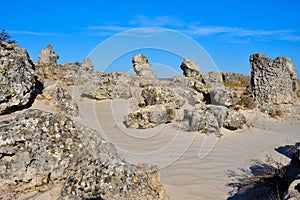 Pobiti Kamani, The Stone Forest Natural Reserve in Bulgaria