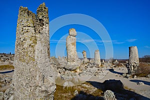 Pobiti Kamani, The Stone Forest Natural Reserve in Bulgaria