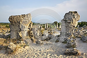 Pobiti Kamani (Stone forest) near Varna. Bulgaria