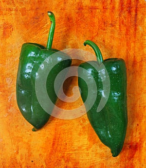 Poblano chili peppers chile Capsicum photo