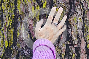 poc of woman hand touching and caressing trunk tree in nature and outdoor leisure activity. Sustainability and environment concept