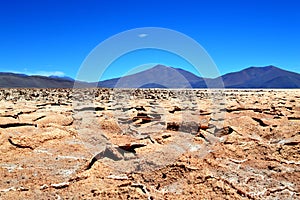 Pocitos salt flat, Salta, Argentina photo