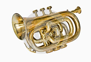 Pocket cornet