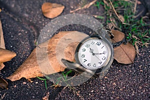 Pocket watch on floor with leaf.