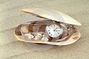 Pocket watch in a sea shell with real pearls