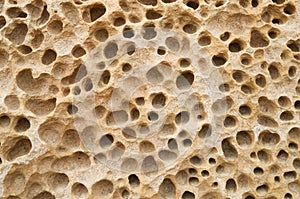 Pocketed Rock Background