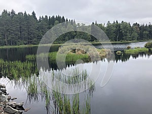 Poconos Lake in the stillness of the Morning