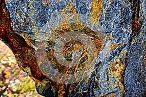 Poconos Mountains, Pennsylvania, USA: Close-up of the veins in a weathered rock