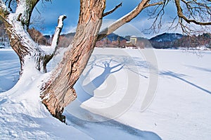 Jezero Pocuvadlo během zimy