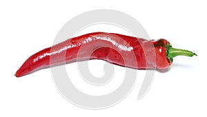 Pod fiery scalding red pepper isolated photo