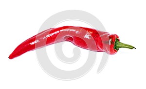 Pod fiery scalding red pepper isolated photo