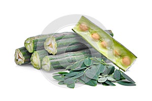 Pod of moringa drumstick tree with leaves on white