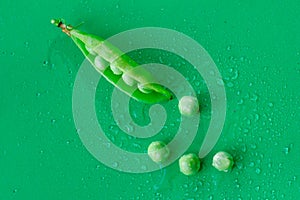 Pod pea cracked and pea poured out of it lie on a green background in droplets of dew