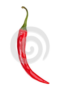Pod of ripe red chili peppers