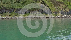 A Pod of Wild Dolphins in the Ocean Swimming Close to Shore