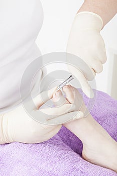 Podiatrist at work photo