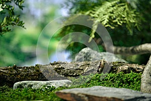 Podium for natural cosmetic product promotion. Empty pedestal for eco cosmetics presentation. Green foliage, sunlight