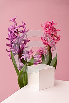 Podium for product photo background with jacinth. geometric objects and flowers.