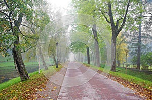 Podkaprizovaya road in Alexandrovsky Park